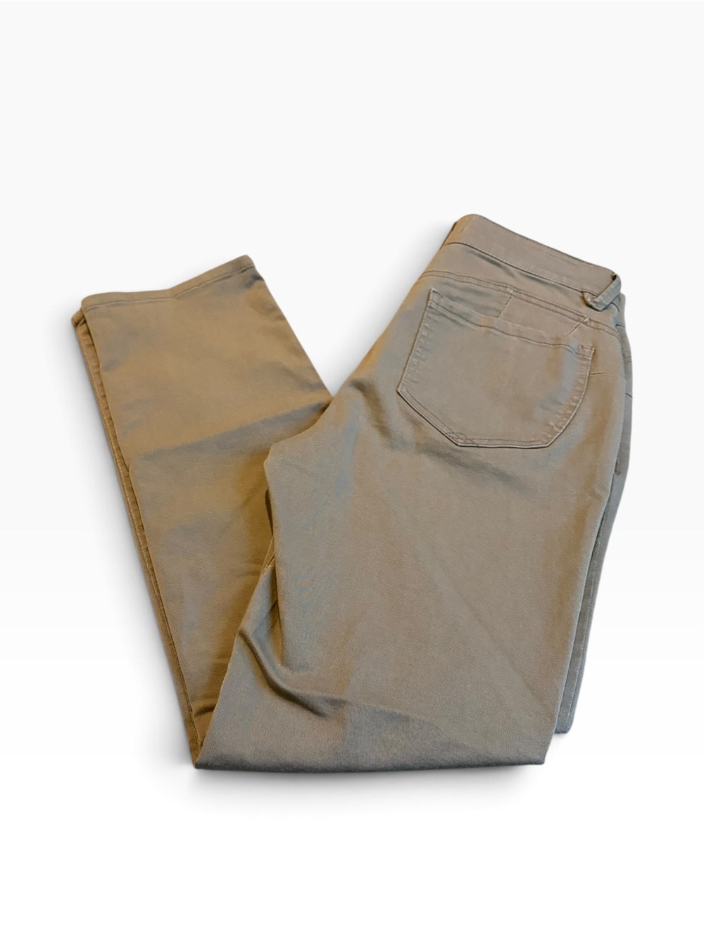 DEMOCRACY absolution pants